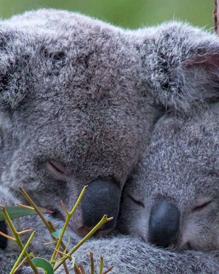 Awesome Attractions for the Whole Family