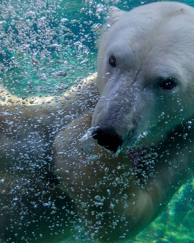 Save Big with San Diego Passes & Discount Tickets