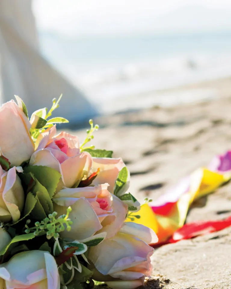 Beach Weddings in San Diego