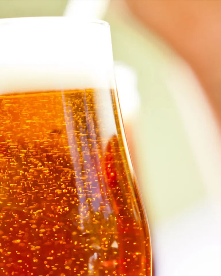 10 Stop Brew Hop in East San Diego County