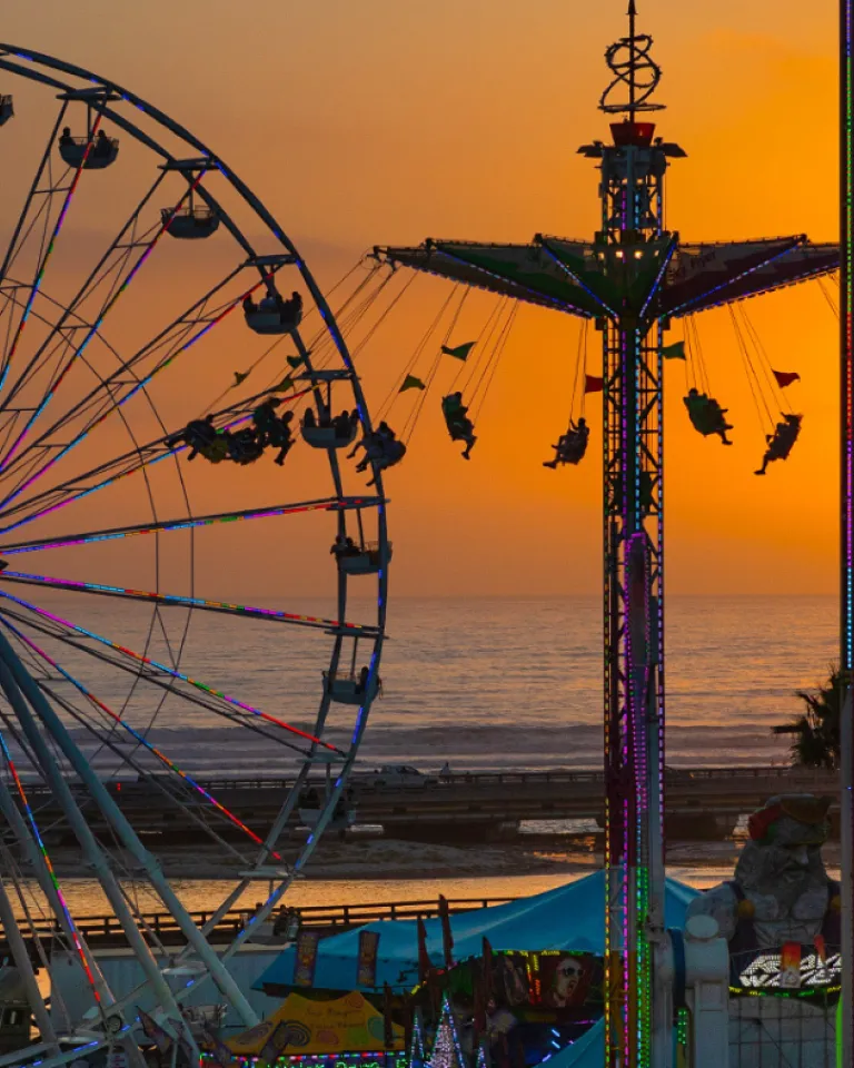 Top Things to Do and Events in San Diego