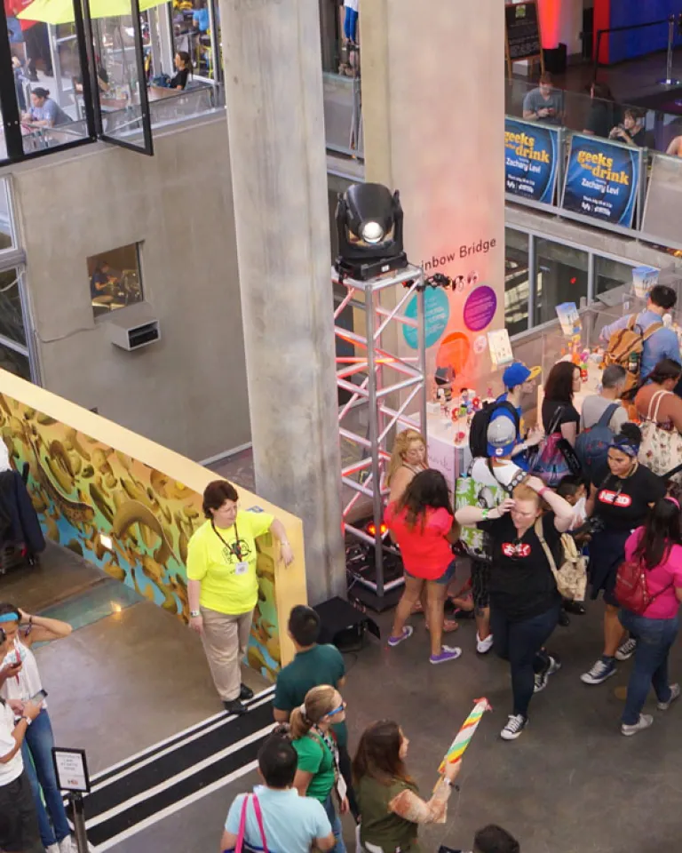 Disability Services at Comic Con Convention