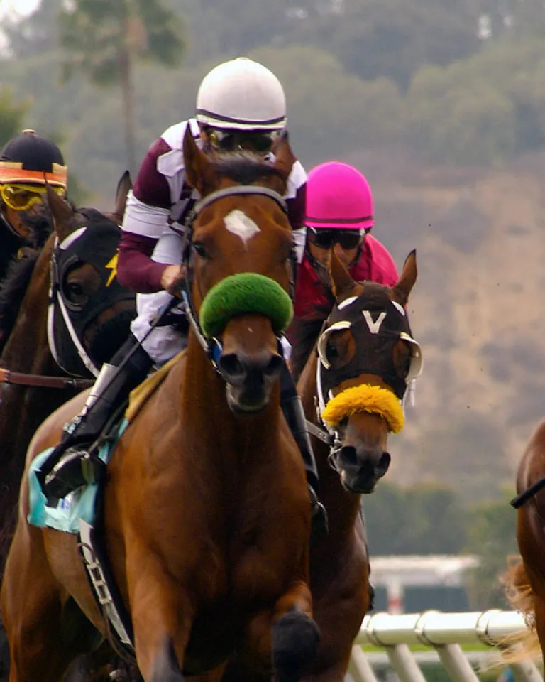 Disability Services - Del Mar Races