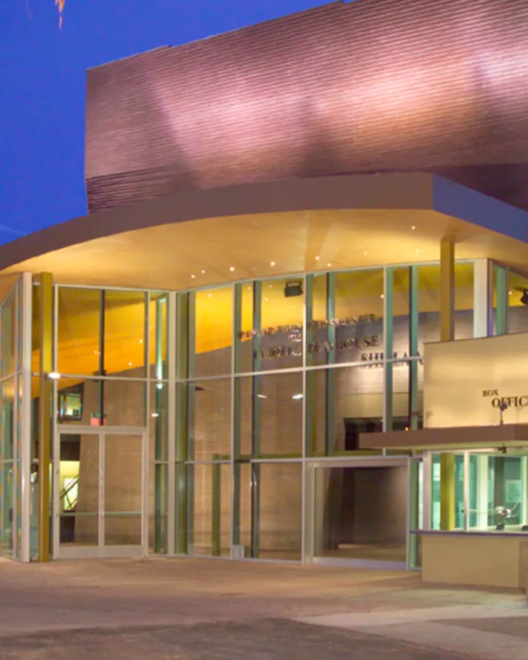 Accessible Performing Arts