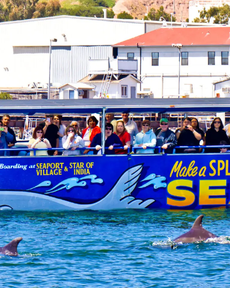 Tours & Sightseeing for the Disabled