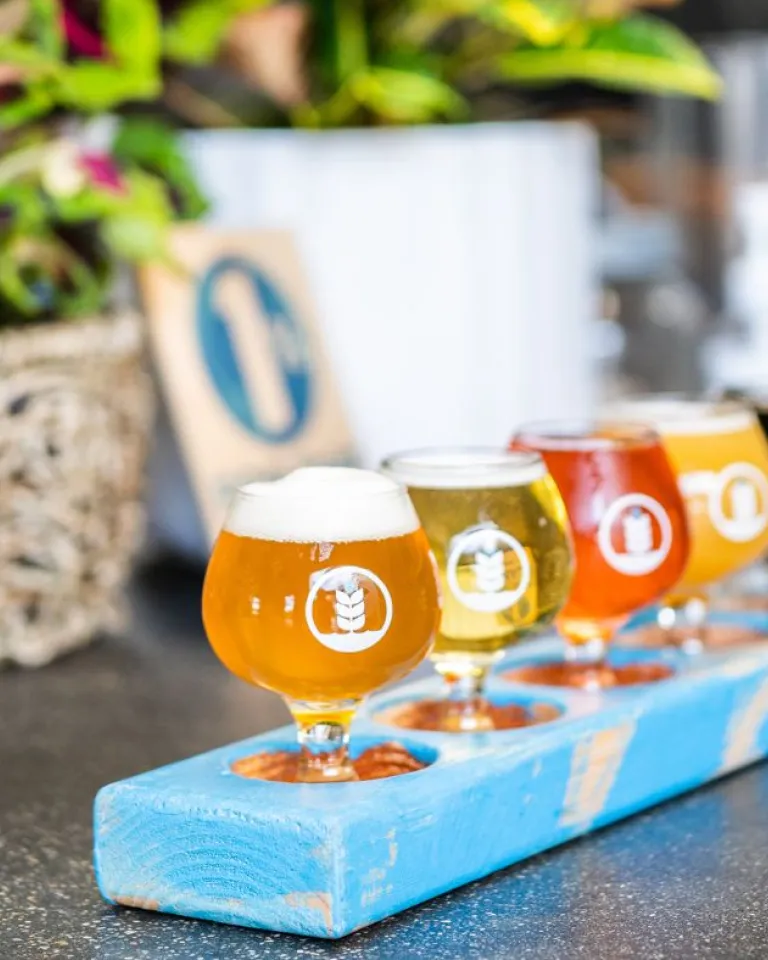 Discover San Diego’s Top Craft Beer Tasting Rooms 