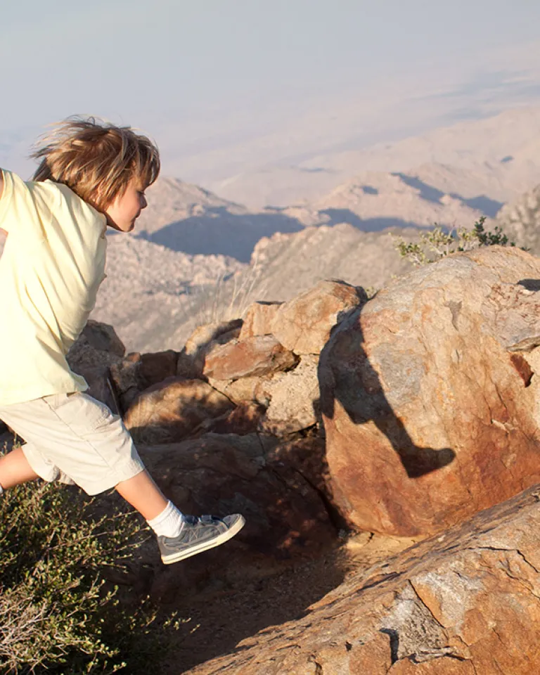 Seven Family-Friendly Hikes