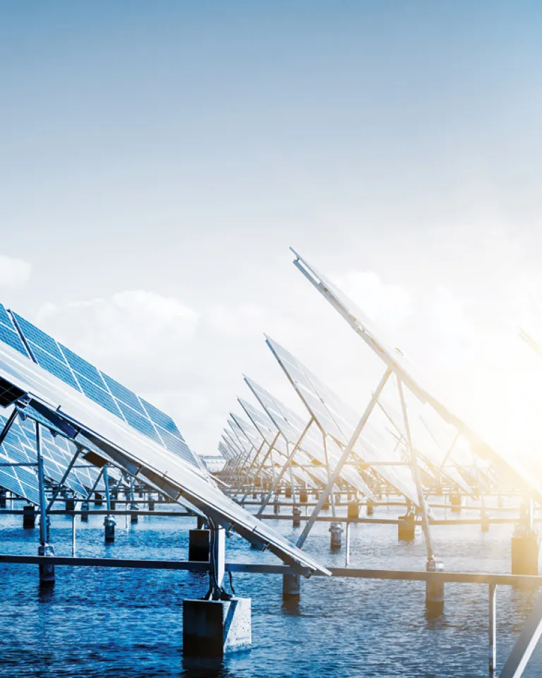 Green Meeting Resources