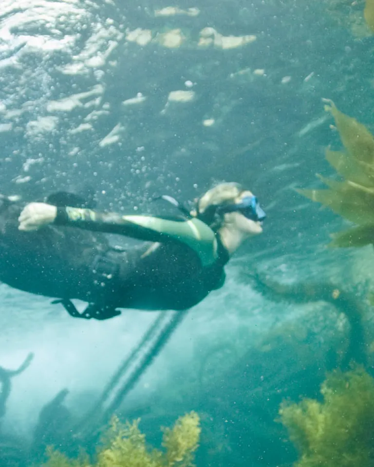 Kelp Forest Diving in San Diego