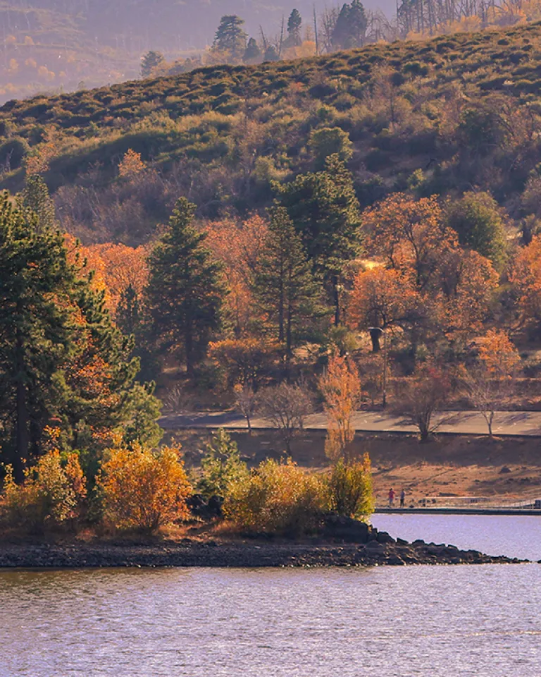 Fall Color Hikes in San Diego