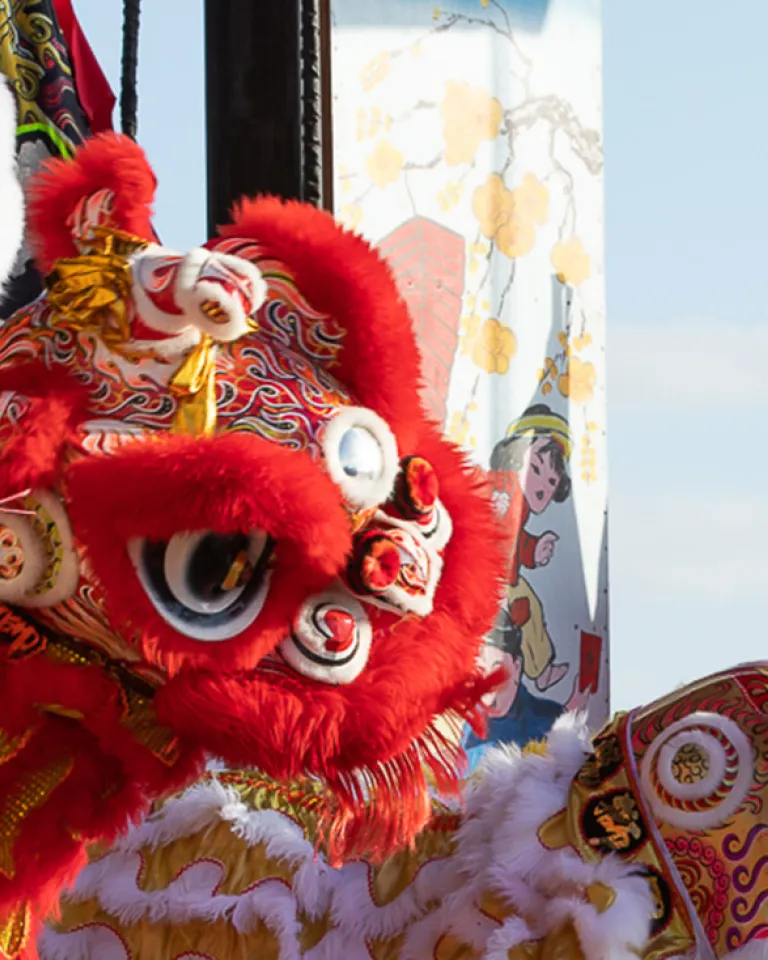Discover the Magic of Lunar New Year 