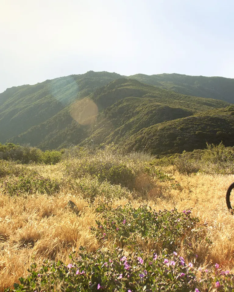 7 Fun and Healthy Activities for Social Distancing Outdoors in San Diego