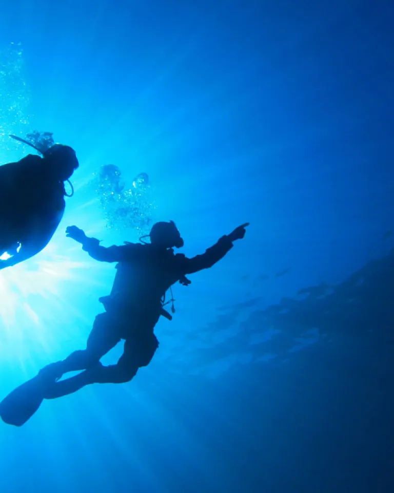 Scuba Diving in San Diego
