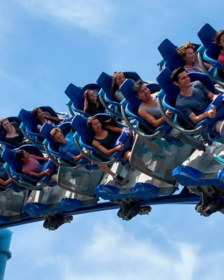 8 Can’t-Miss Experiences at SeaWorld San Diego