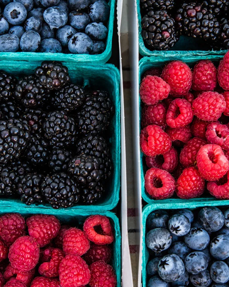 San Diego's Farmers Markets and Roadside Stands