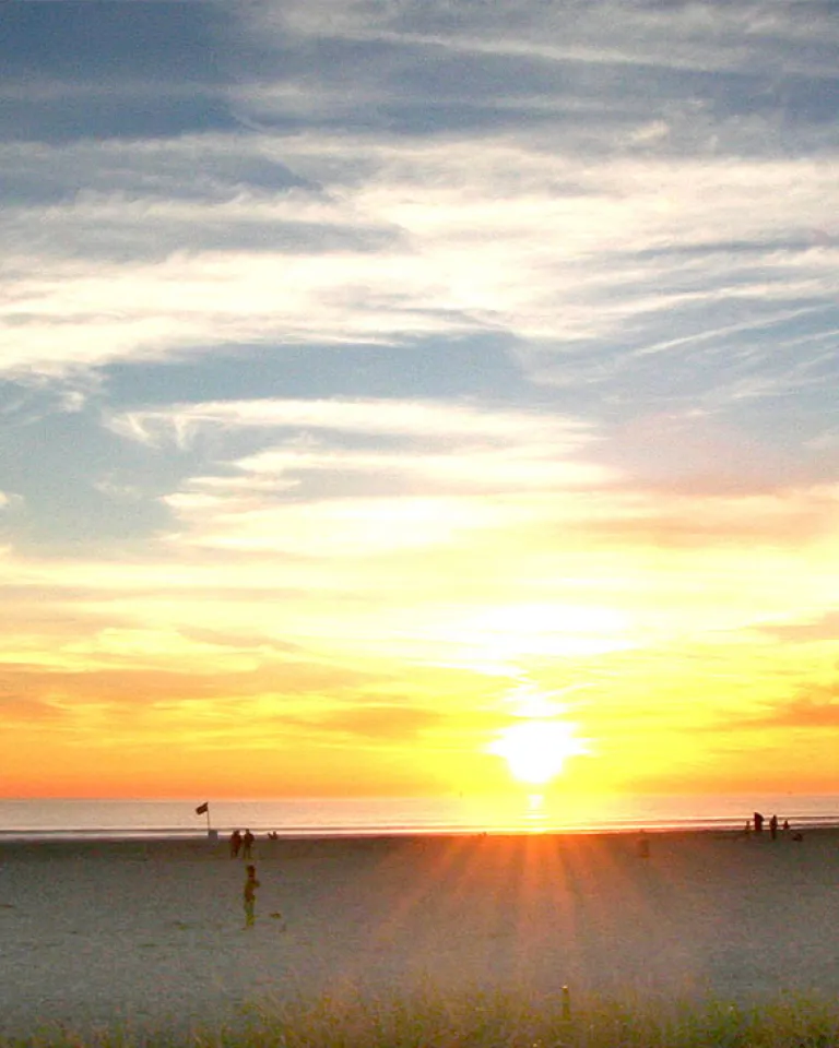 Live Web Cams Sending San Diego Warmth