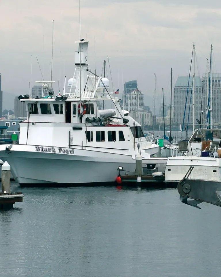 San Diego's Sport Fishing Landings