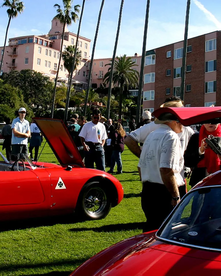 Motor Sports - Cars &  Bikes