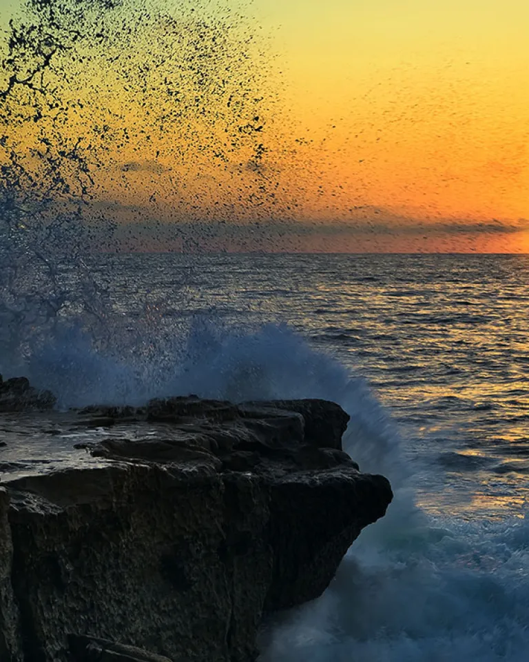 San Diego's Water Wonderland 