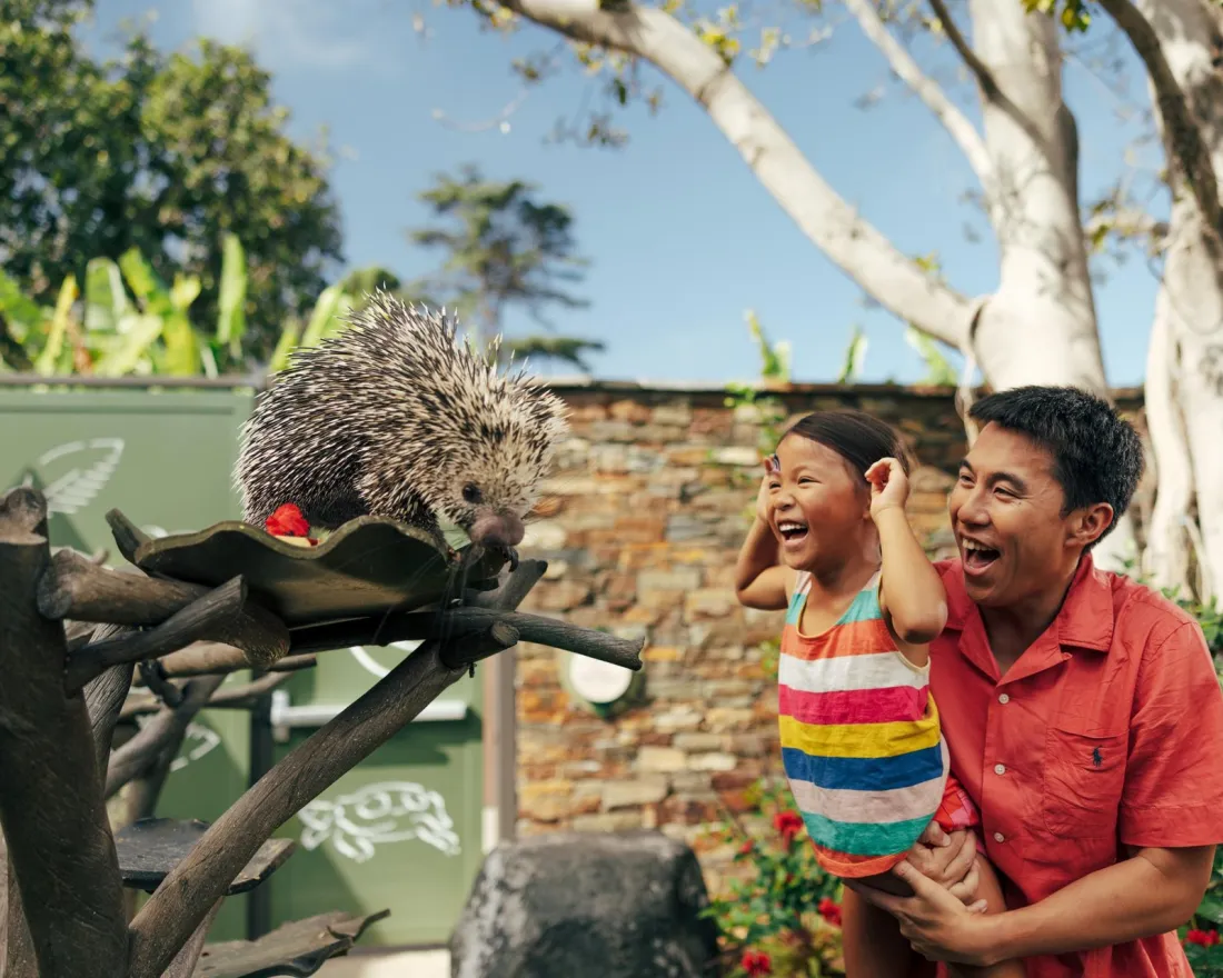 A man lifts a smiling child in front of a porcupine perched on a branch at an outdoor zoo or animal exhibit.