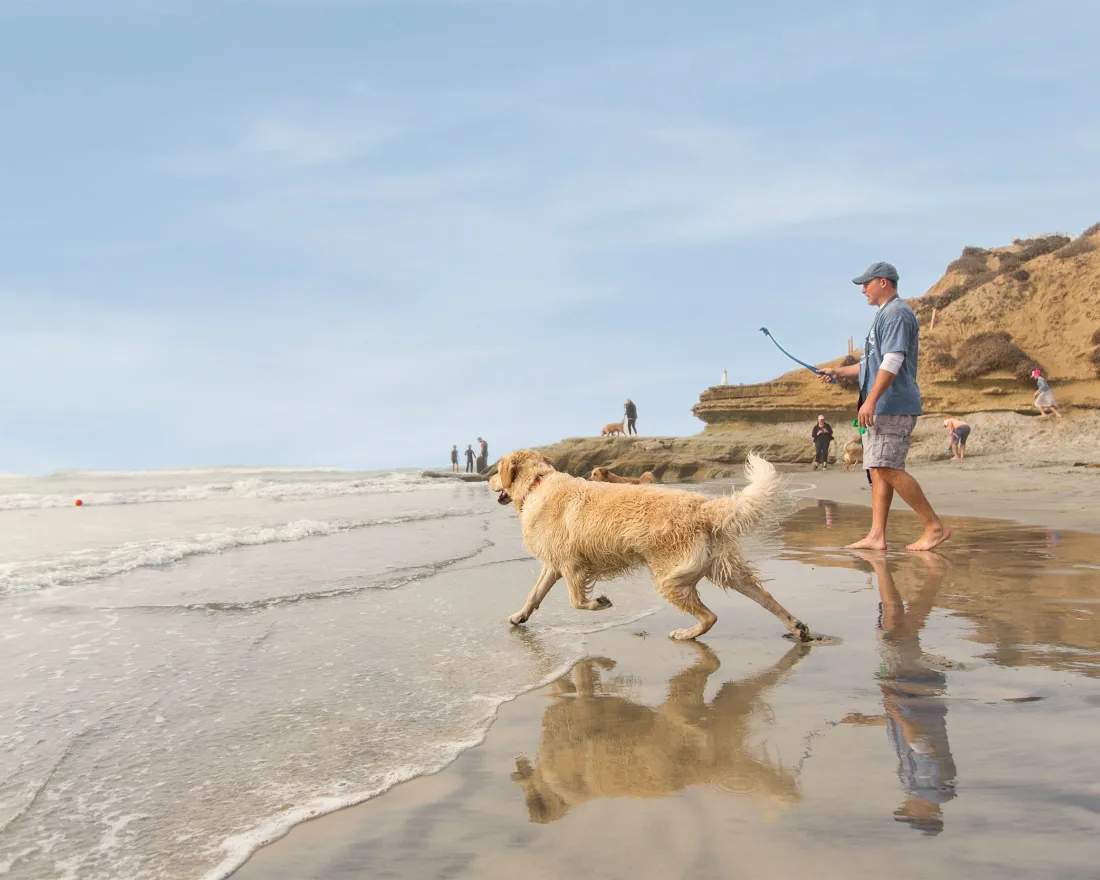 Man and his dog playing fetch at Del Mar Dog Beach in San Diego County
