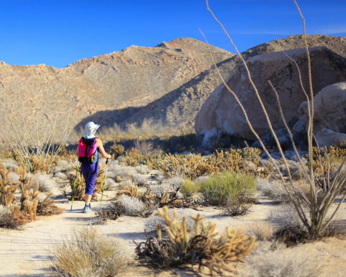 A hiker with walking sticks approaches mountains in Anza Borrego Desert State Park near Borrego Springs in San Diego County.