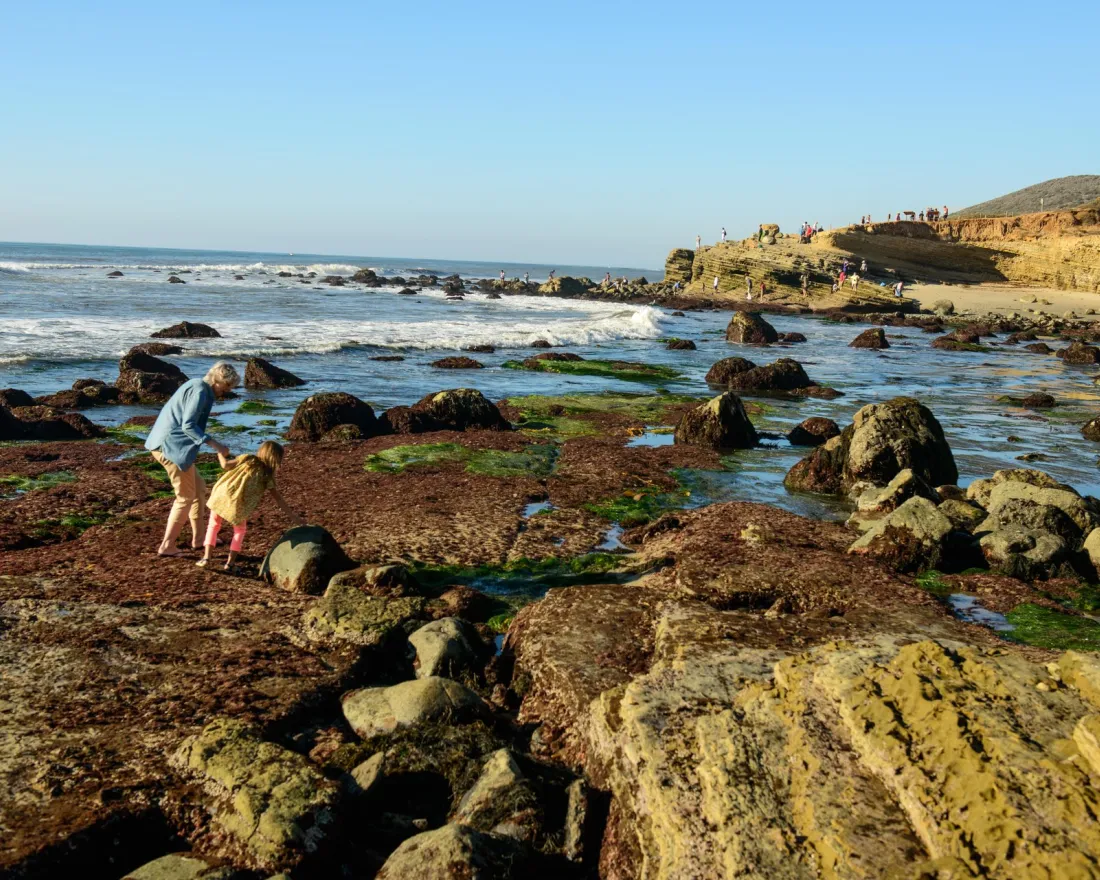 A Guide to Six of San Diego County's Best Tide Pools | San Diego