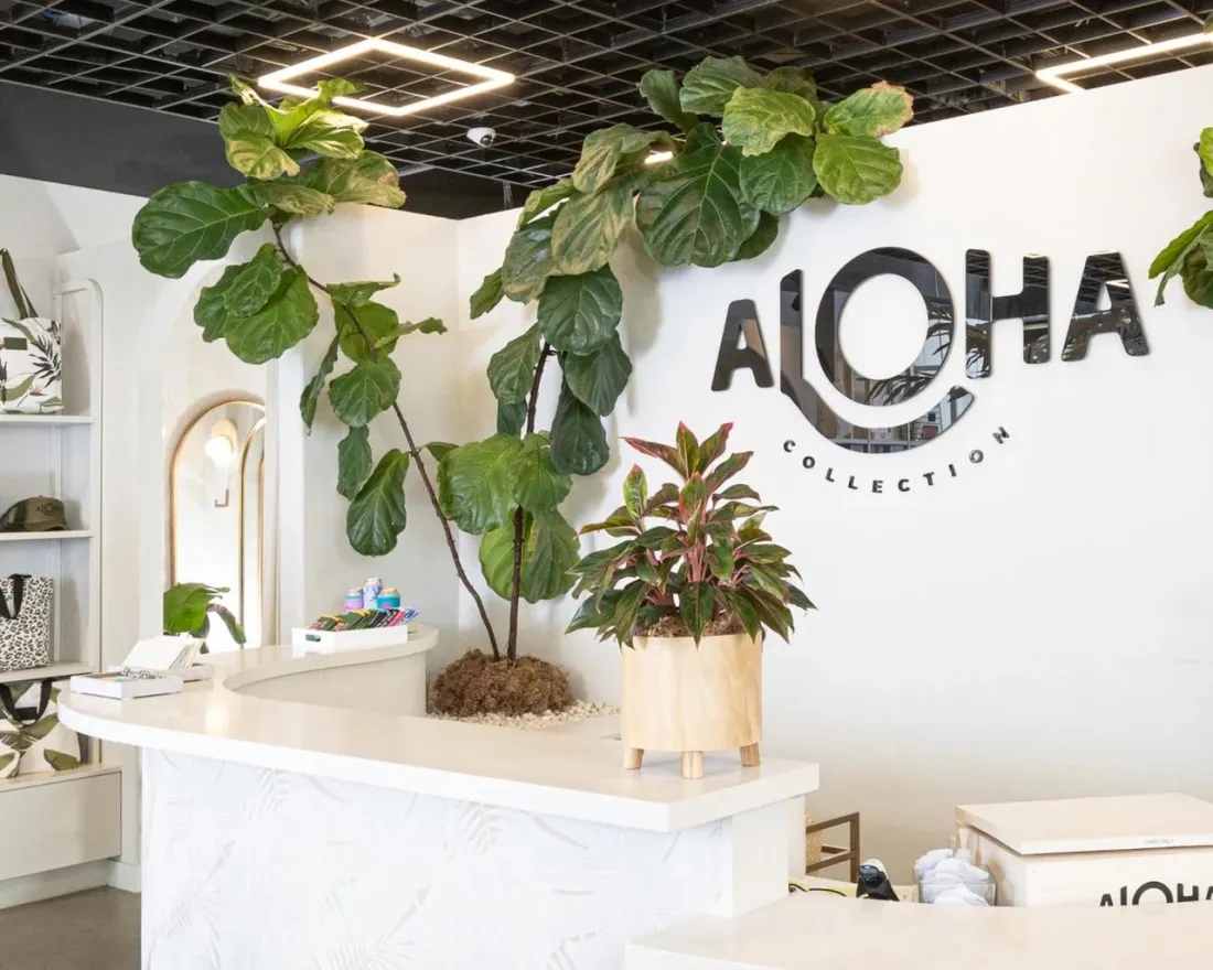 A modern retail store interior at Aloha in Encinitas near San Diego, California, with a white reception desk, green potted plants, and a large "ALOHA COLLECTION" logo on the wall.