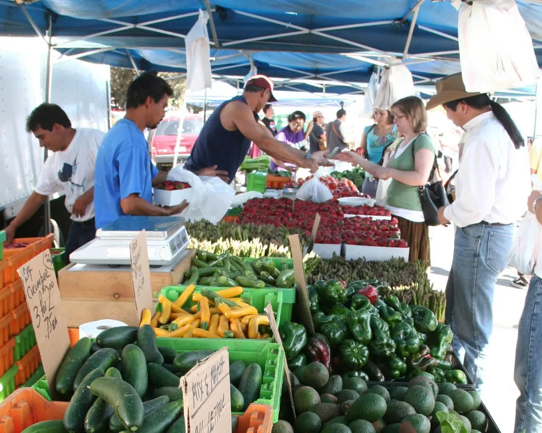 People shopping for fresh vegetables and produce at a farmers market stand in the Hillcrest neighborhood of San Diego, with greens, cucumbers, peppers, and other vegetables displayed on tables under a canopy.