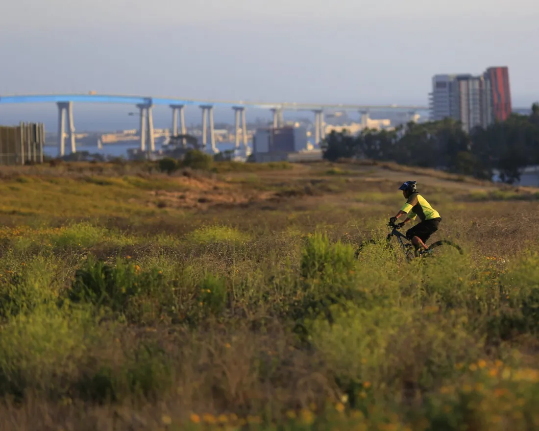 A person in a yellow shirt rides a bicycle through grassy terrain with a cityscape and a blue bridge visible in the background.
