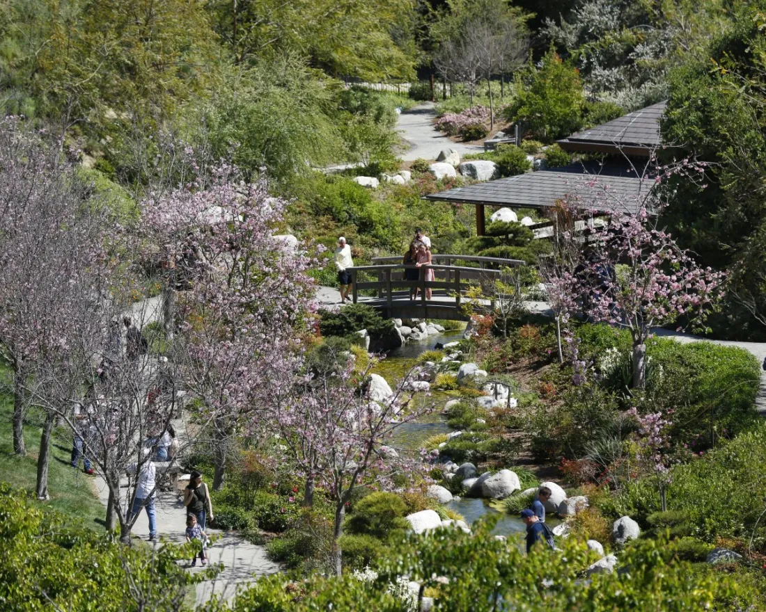 A garden scene with blooming trees, a small stream, several people walking on paths, and a wooden bridge under a gazebo.