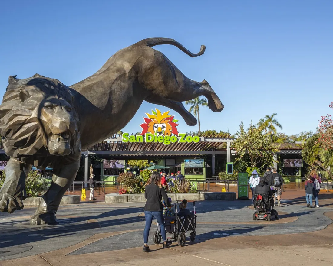 Visitors approach the entrance of the San Diego Zoo, featuring a large leaping lion statue and the zoo's colorful logo sign overhead.