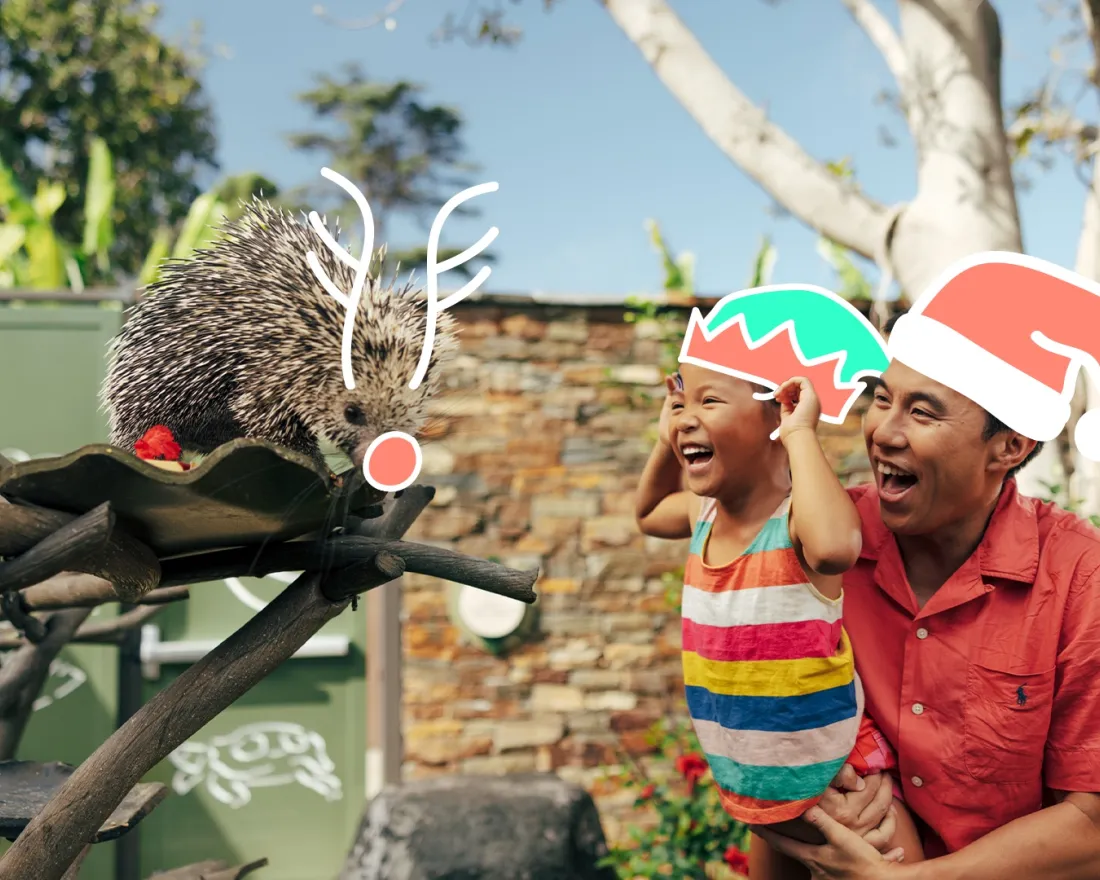 An adult holding a child watches a porcupine on a branch; the child and adult wear drawn-on elf and Santa hats, the porcupine has drawn-on antlers and a red nose.