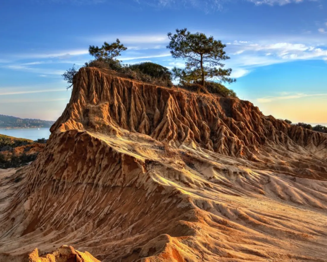 1800x734 article_20FunFacts.jpg