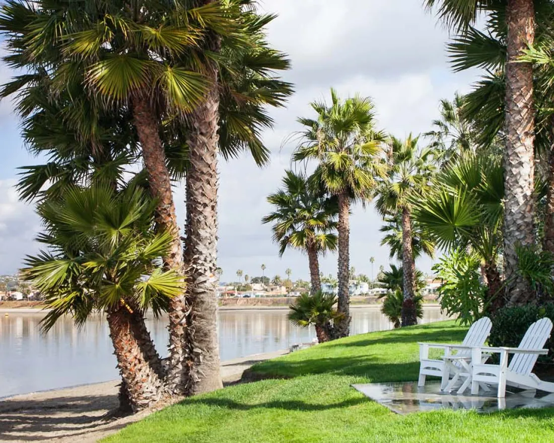 1800x734 article_SleepGreen.jpg