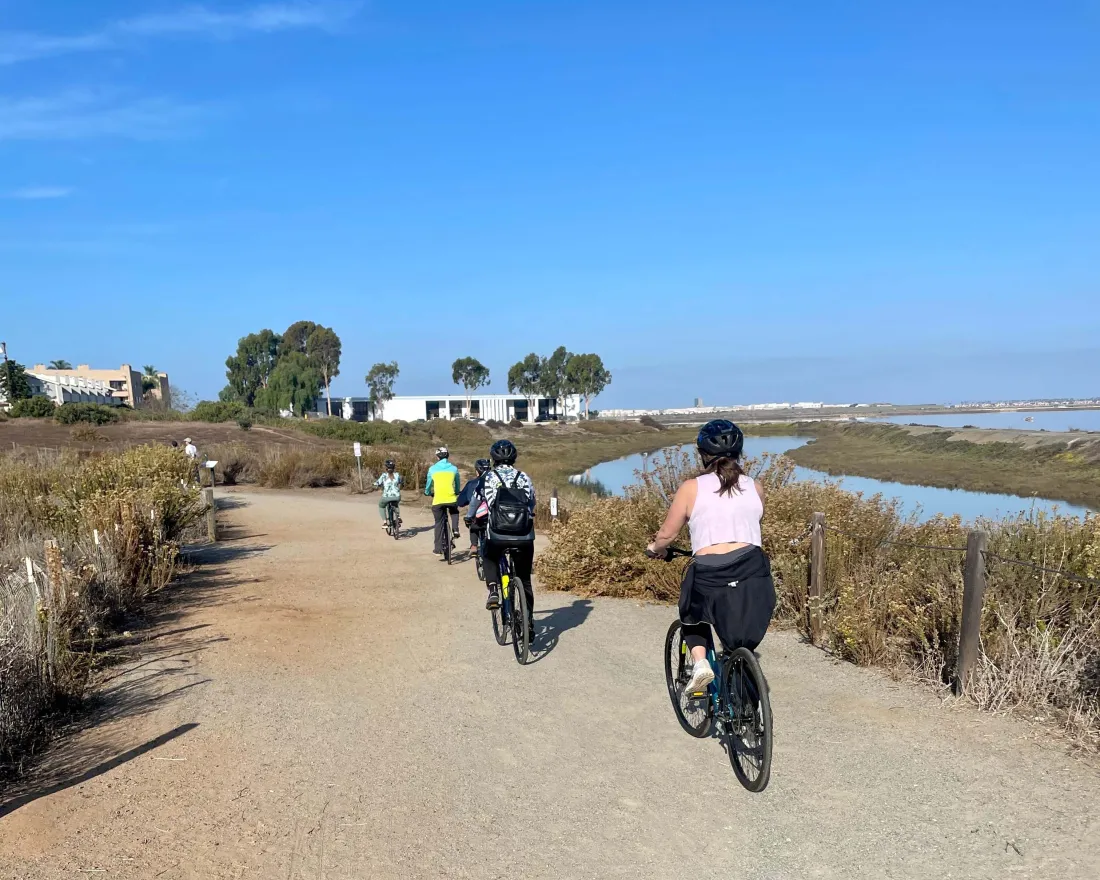 bikes-from-back-1.jpg