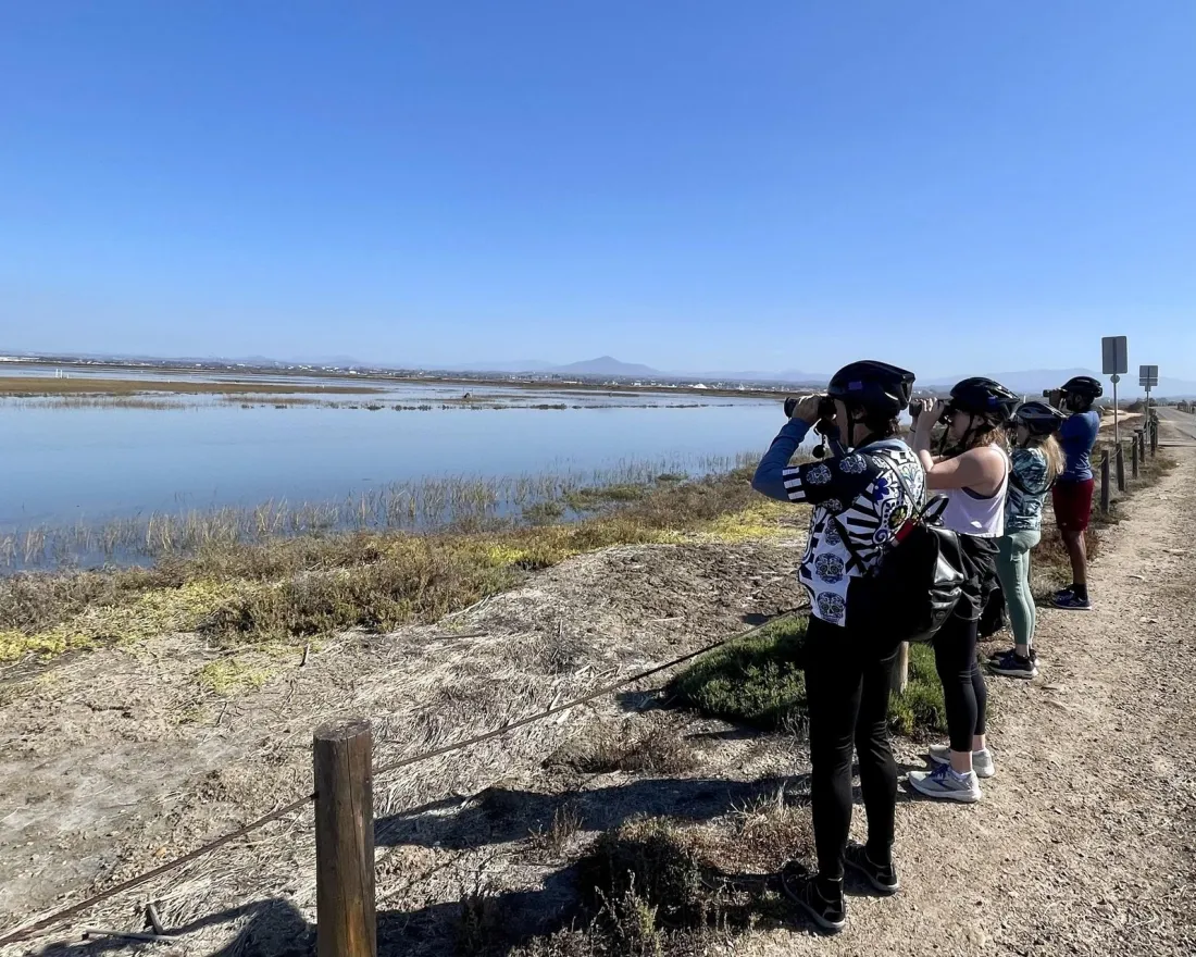 Group of people with binoculars looking at a wetlands preserve in San Diego's South Bay while on a bicycle tour