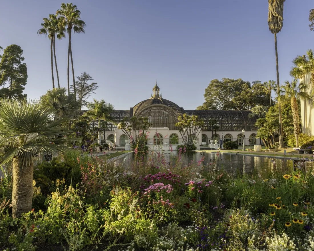 Lush garden with vibrant flowers in the foreground and the Balboa Park Botanical Building in the background.