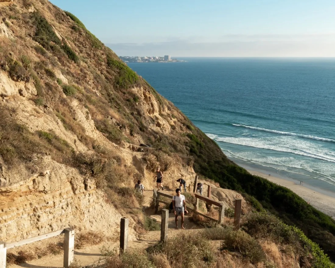 Cliff of Torrey Pines overlooking the beach in San Diego, CA