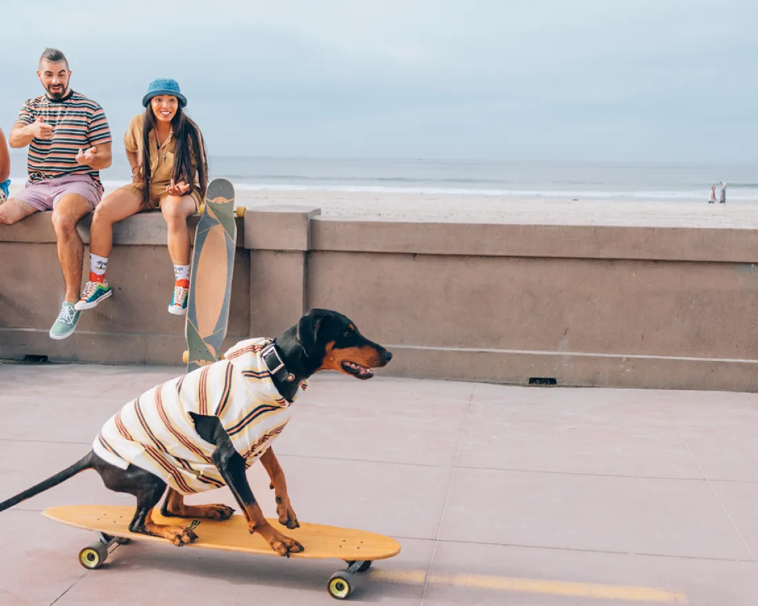 San Diego: Dog (and human) Friendly