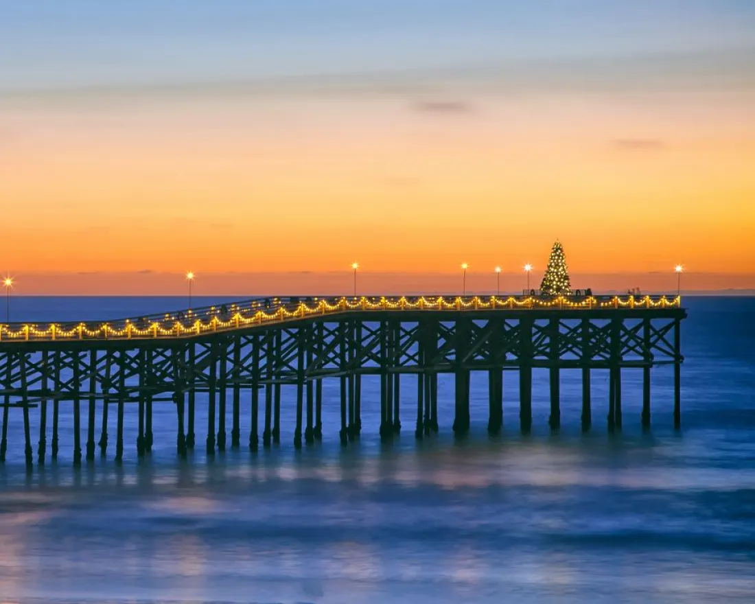 Christmas Tree Trail