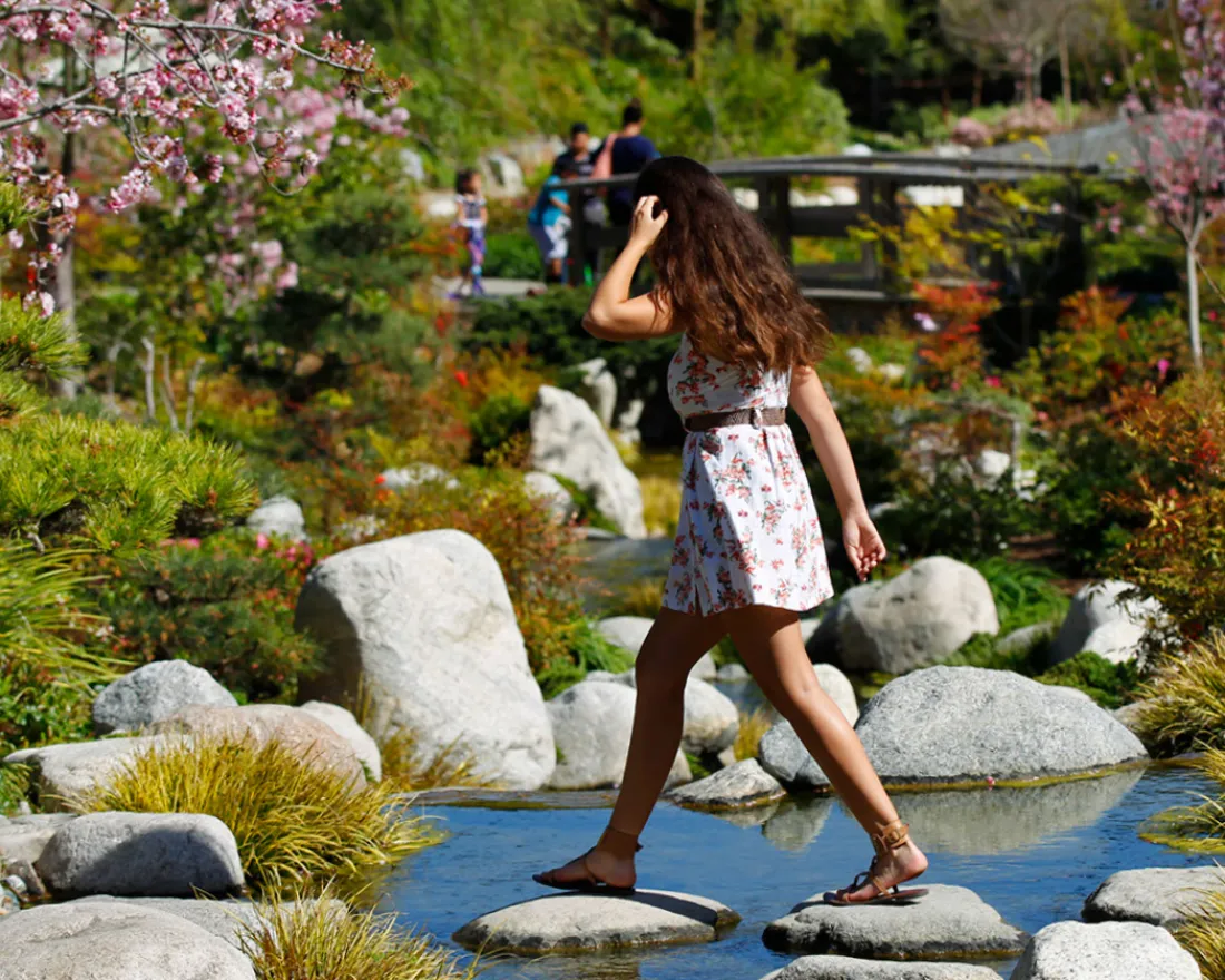 Spring Clean Your Mind, Body and Spirit in San Diego: A Guide to Recharge, Reset and Declutter Internally 