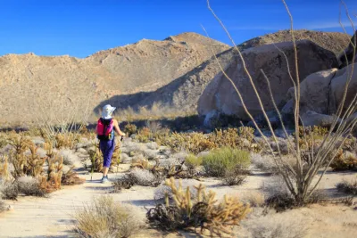 A hiker with walking sticks approaches mountains in Anza Borrego Desert State Park near Borrego Springs in San Diego County.