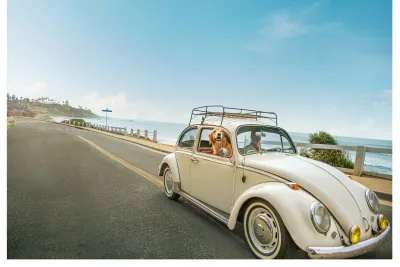 A classic white Volkswagen Beetle with two people and a dog inside drives along a coastal road under a clear blue sky.