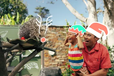 An adult holding a child watches a porcupine on a branch; the child and adult wear drawn-on elf and Santa hats, the porcupine has drawn-on antlers and a red nose.