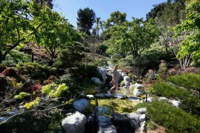 Balboa_Park_Japanese_Friendship_Garden_230