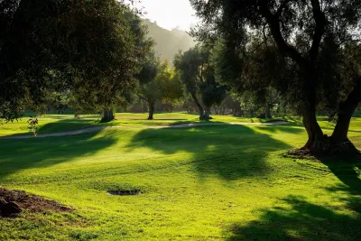 A view of a golf course in El Cajon near San Diego, showing green grass ringed with trees.