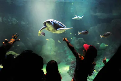 Exciting 2-Day Itineraries