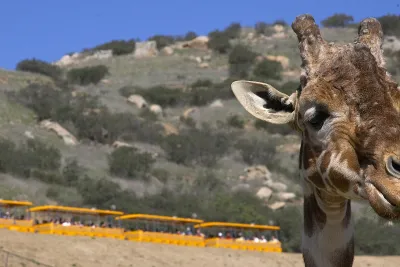 Action Packed 3-Day Itineraries