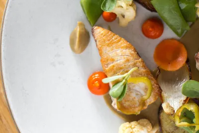 Farm-to-Table Dining in San Diego